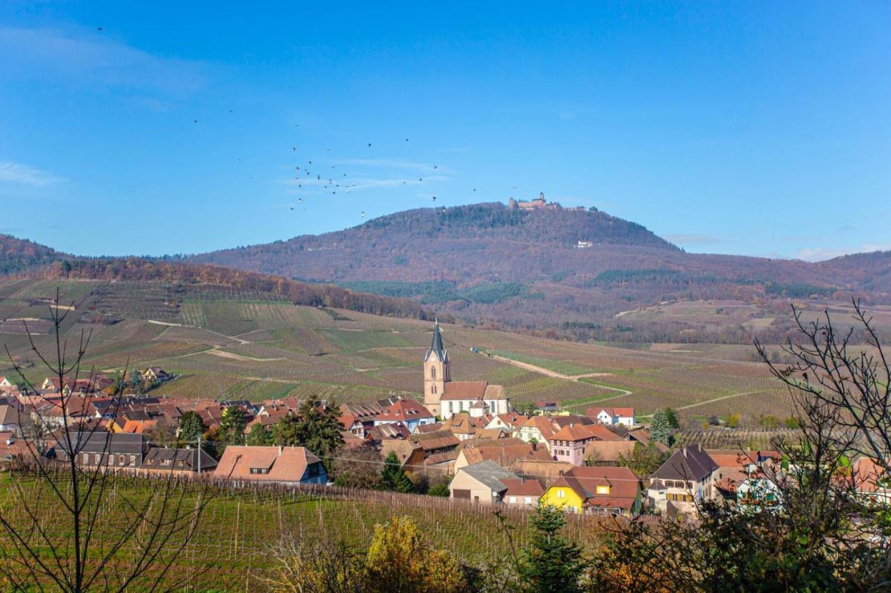 Gite La Rodernelle - Sauna Privatif - Climatisation - Vue Sur Le Chateau Du Haut Koenigsbourg Екстериор снимка